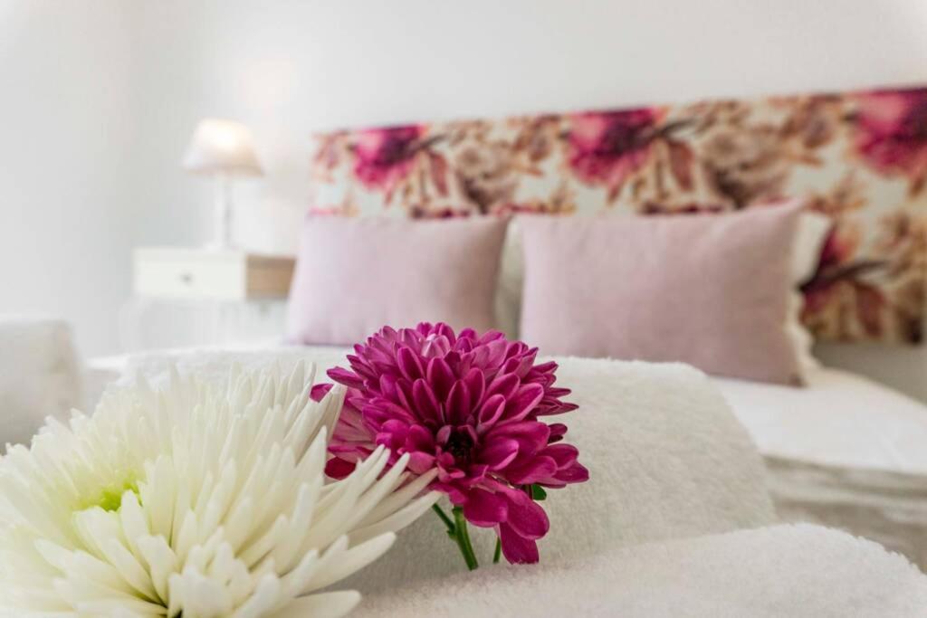 לאגוּ‏ש Lalitana Center Apartment מראה חיצוני תמונה